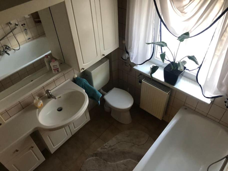 Ferienwohnung In Golssen/Spreewald, Tropical Island Extérieur photo